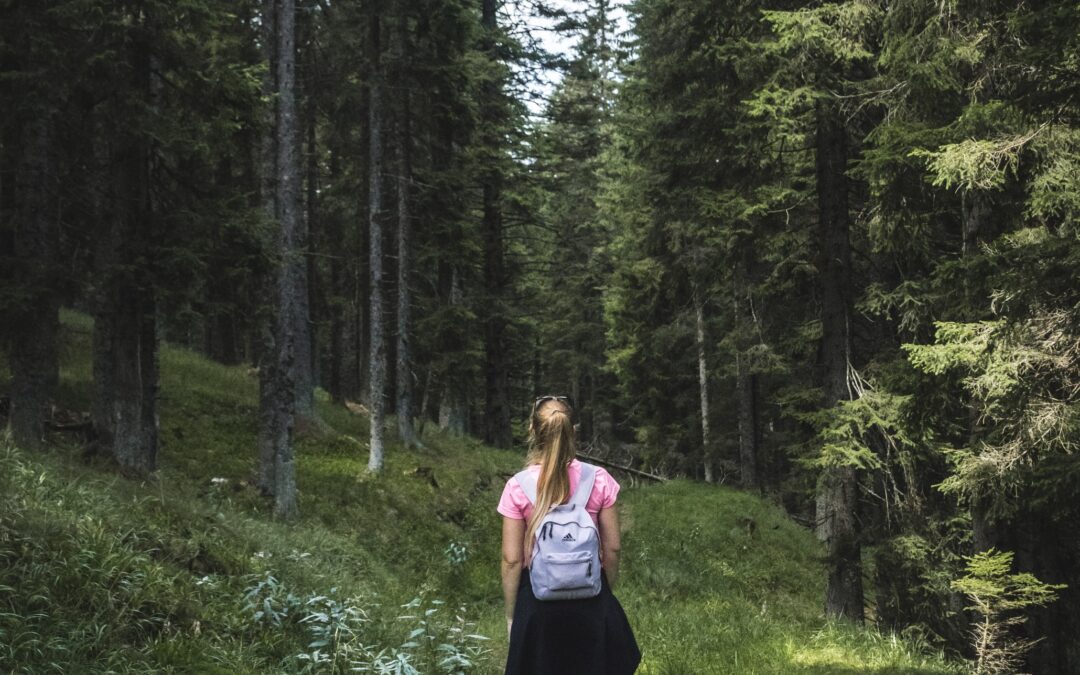 Do Nature Walks Really Improve Mental Health?